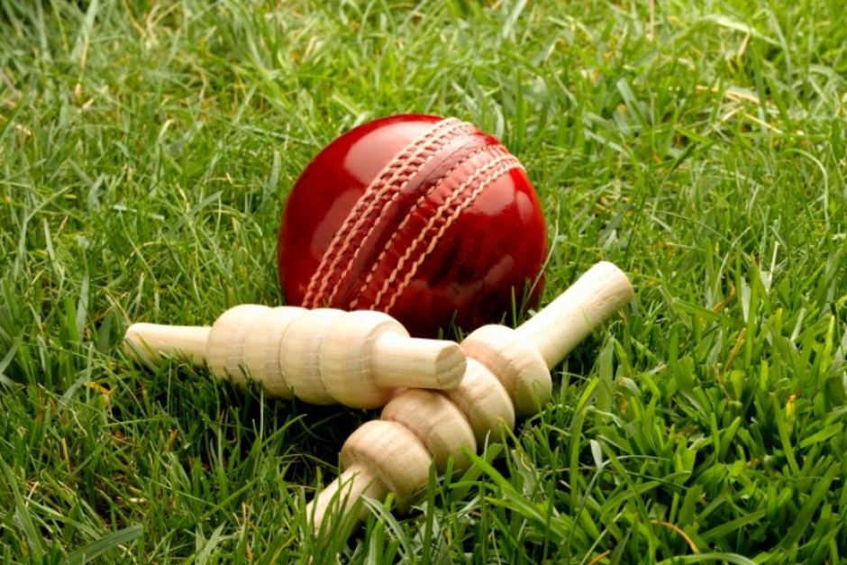 Cricket ball and wooden bails on the grass